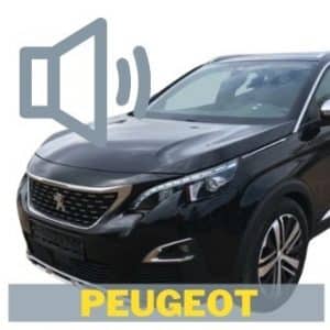 Peugeot Auto-Lautsprecher