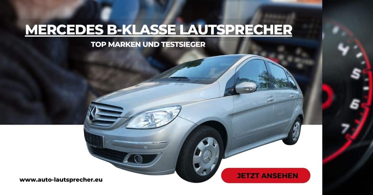 Citroen Relay Fronttür Lautsprecher Kicker 6,5" 17Cm Auto